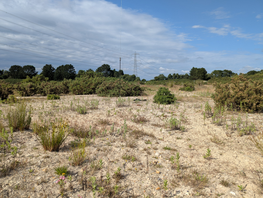 Desert-looking scrub and pylons overhead