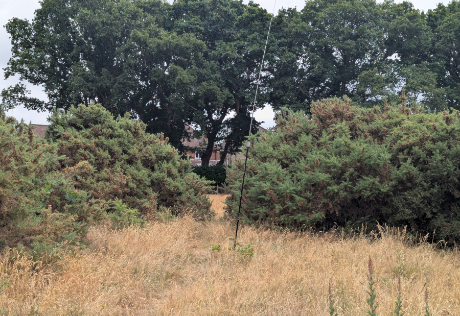 JPC-12 vertical next to bushes