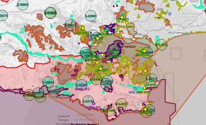 A geographic display with lots of highlighted circles and points